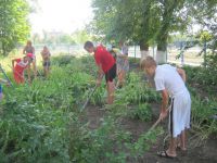 shkolnoe-lesnichestvo-20.08.15-1