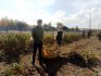 ecoyear-subbotnik-10.17-5