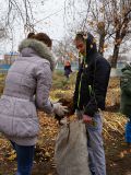 subbotnik-15.11.14-4