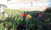 akciya-parki-kubani-5.08.15-3